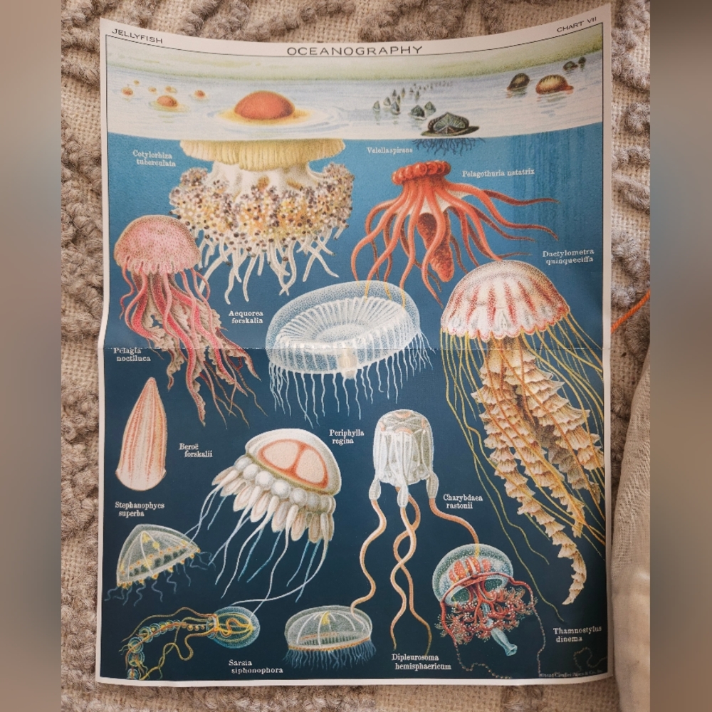 Vintage jellyfish puzzle